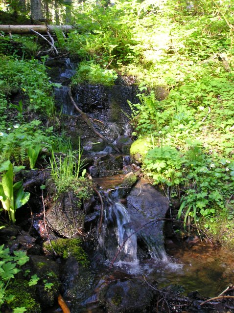 6.24-25.06 Memaloose Lake 125 